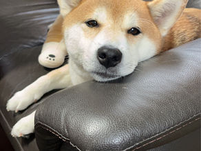待ち望む気持ち