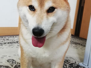 ご縁で不用品の整理