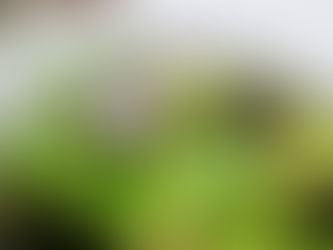 エアコン移設には配管も