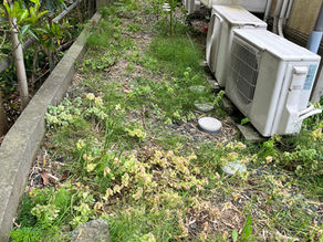 今一番多い依頼は?