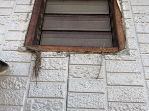 換気扇フード交換