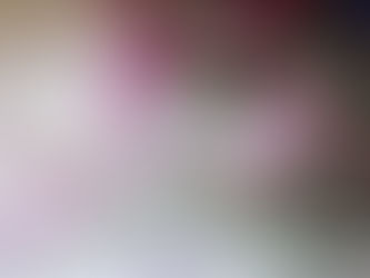 「愛すべき木々たち」