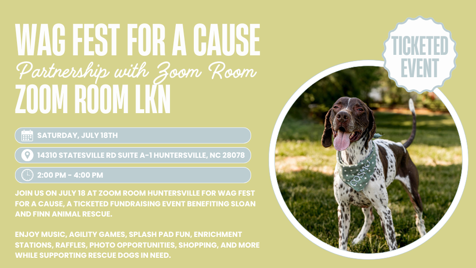 Wag Fest For A Cause