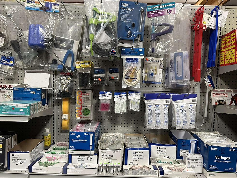 2023-03-14_11-49-15_238