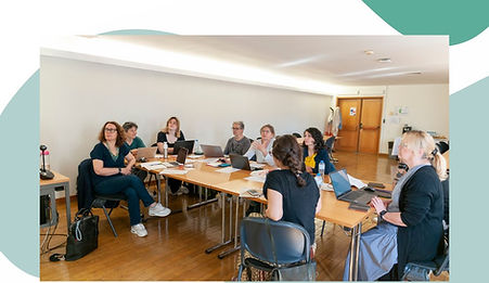 Last meeting of the MindLiven project