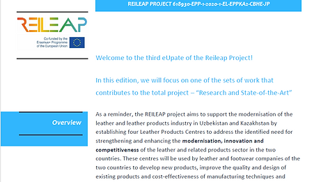 REILEAP newsletter n.3
