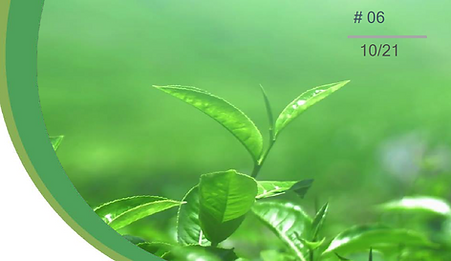 The final newsletter of the CLICHA project is out