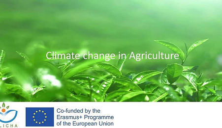 CLICHA Webinar #2: The impact of climate change on coastal areas