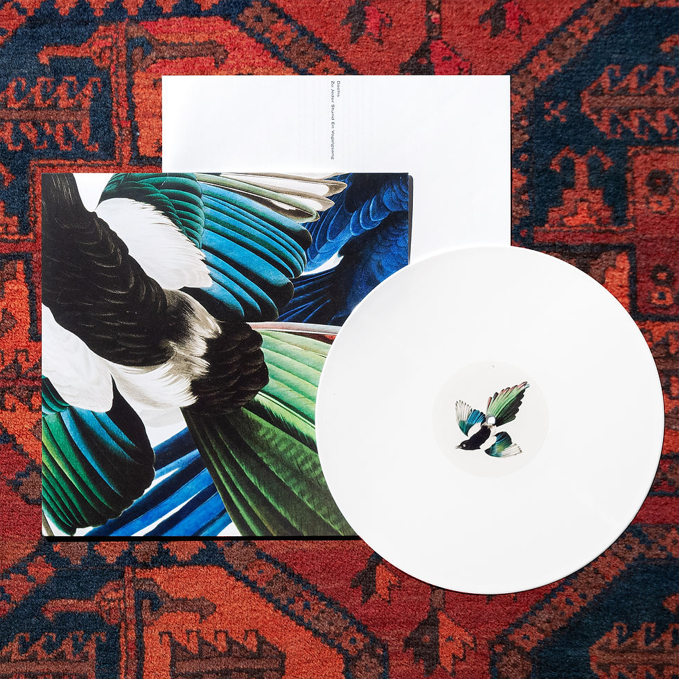 Miniaturbild: Zu Jeder Stund En Vogelgsang  (Vinyl)