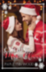 Catching Mrs. Claus eBook cover