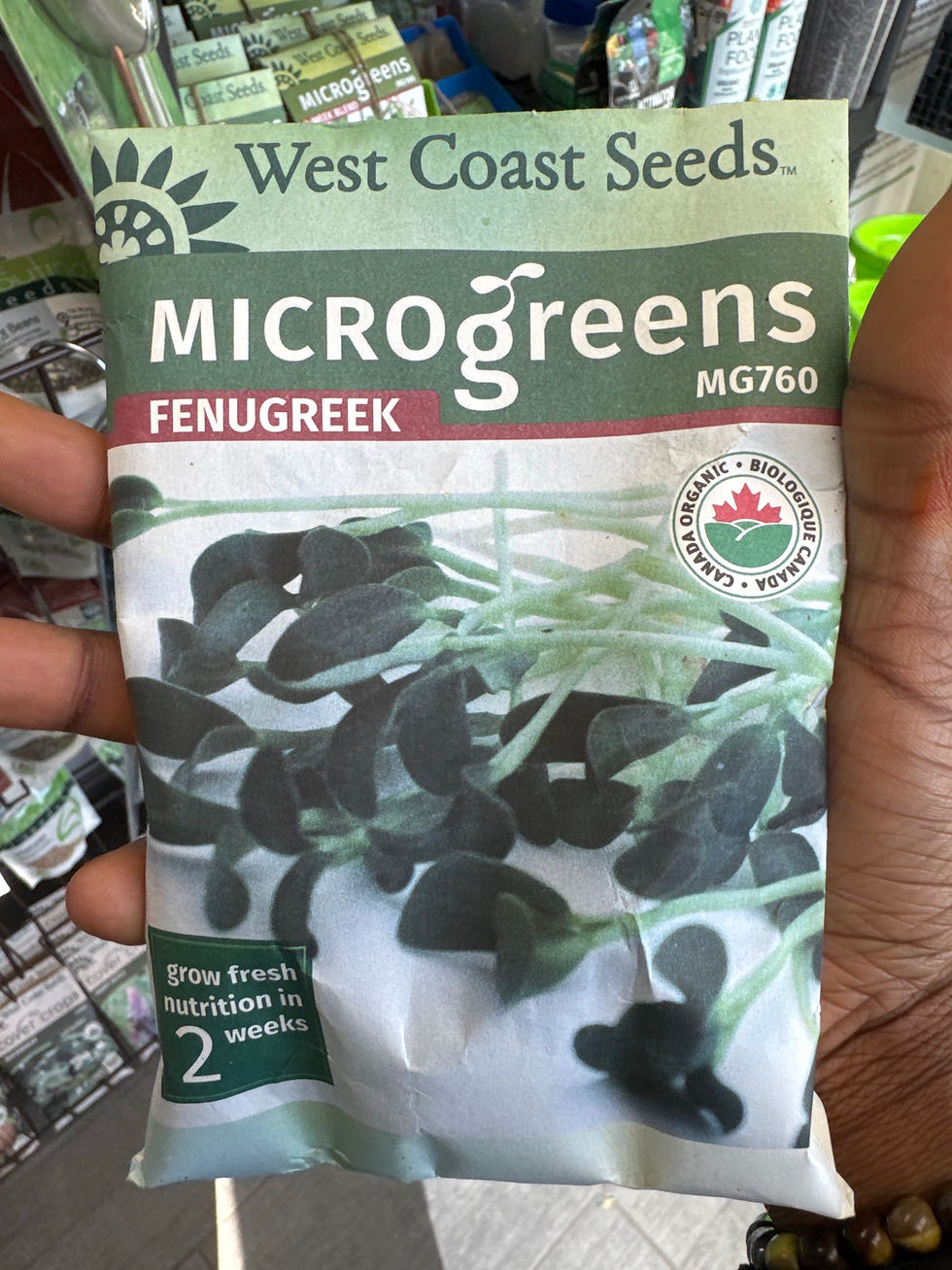 Thumbnail: MICROGREENS-Fenugreek