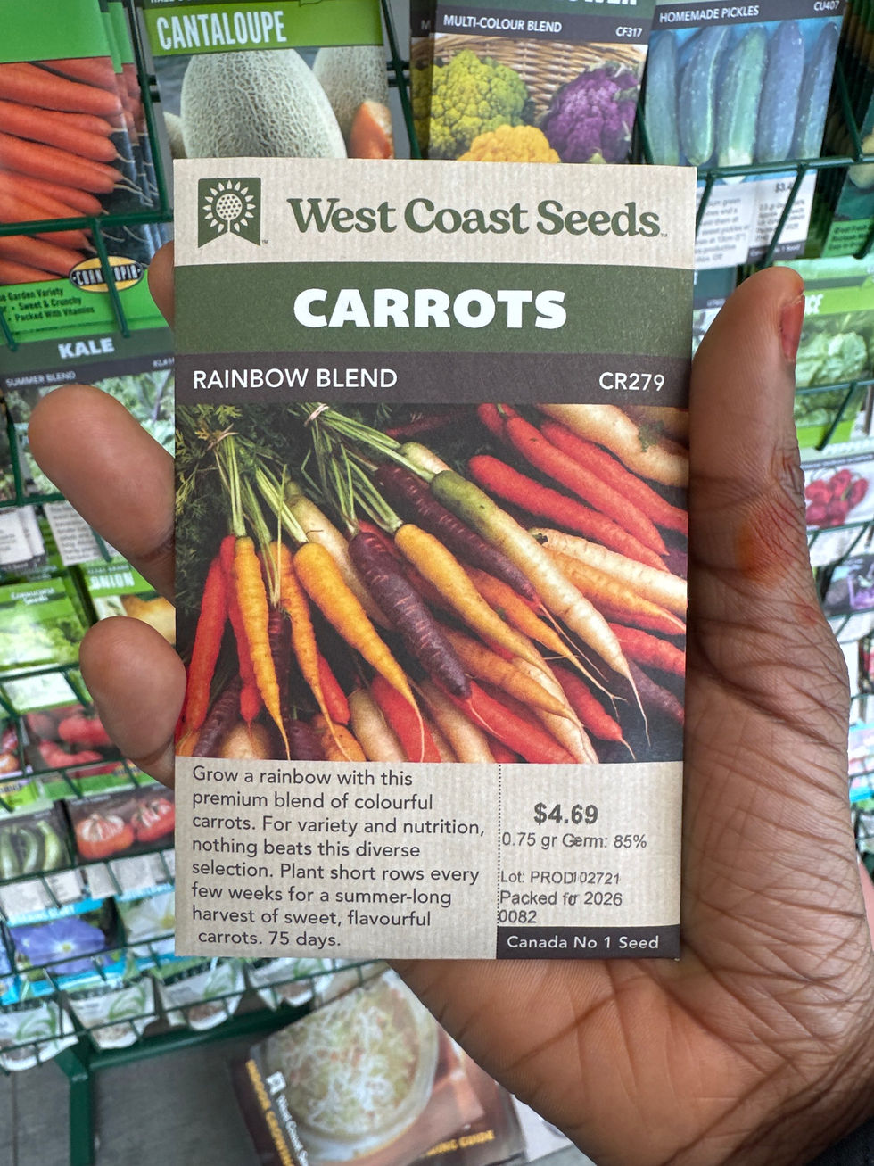 Thumbnail: CARROTS-Rainbow Blend