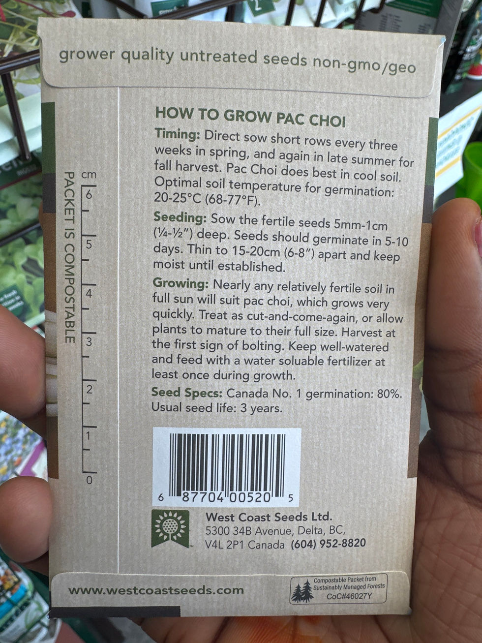Thumbnail: BOK CHOI- Taiwan PAC Choi