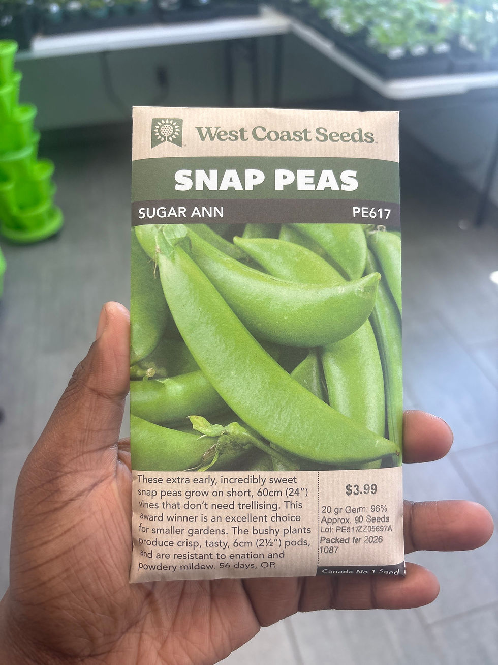 Thumbnail: SNAP PEAS - Sugar Ann