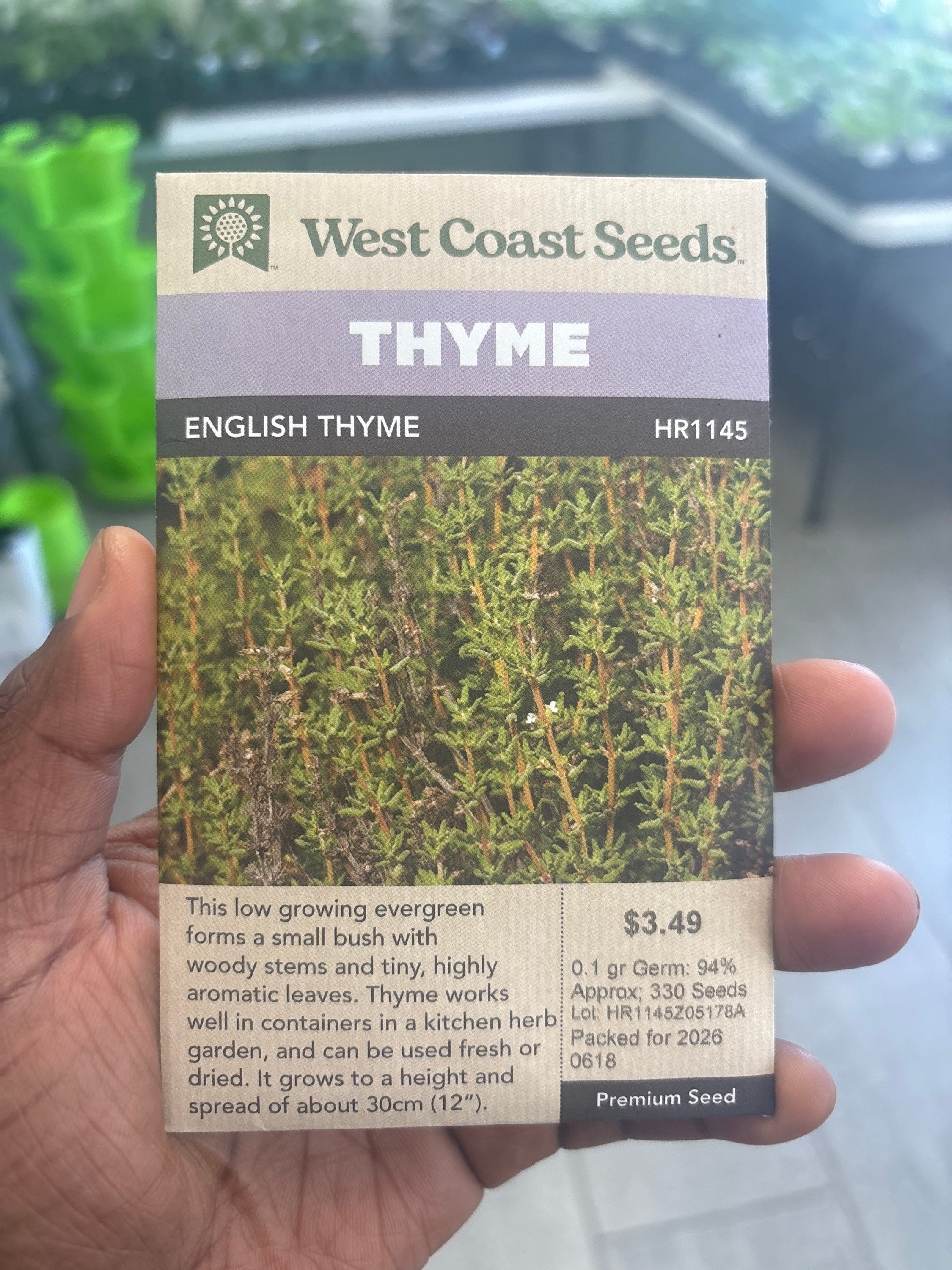 THYME-English Thyme