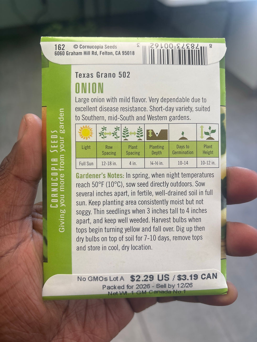Thumbnail: ONION-Texas Grano 502