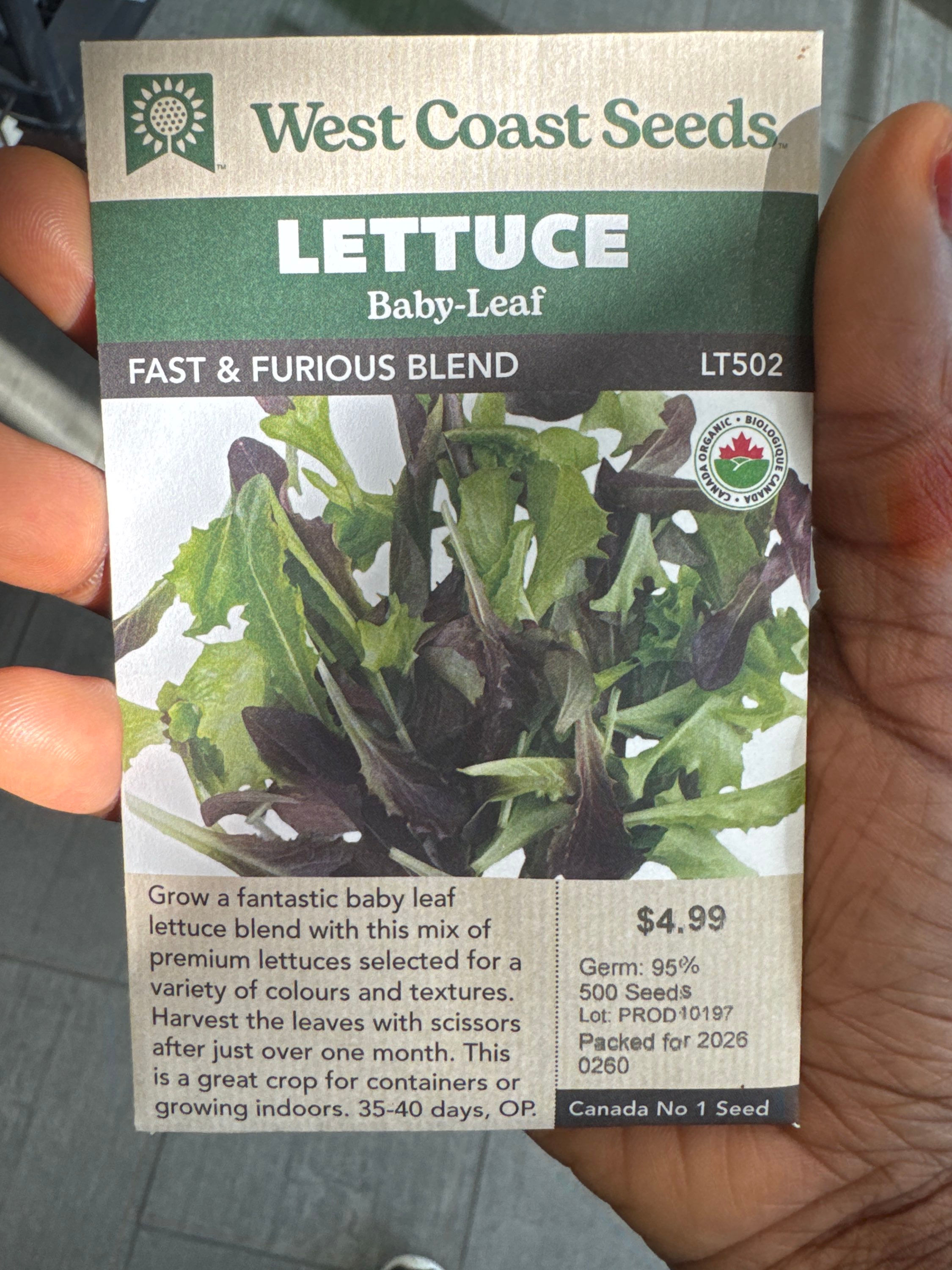 LETTUCE Baby-Leaf - Fast & Furious Blend