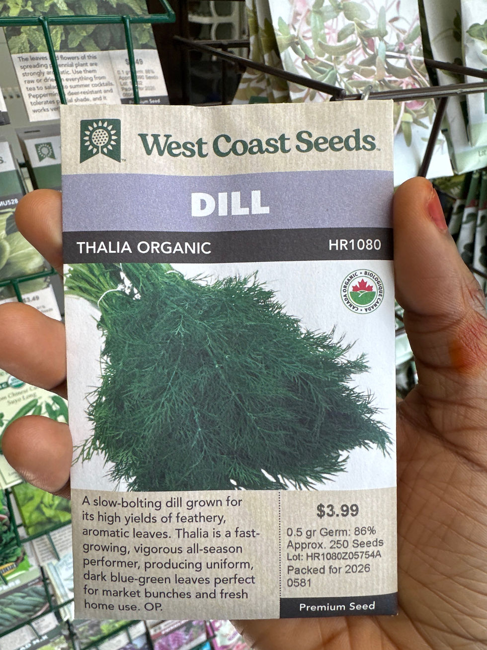 Thumbnail: DILL-Thalia Organic