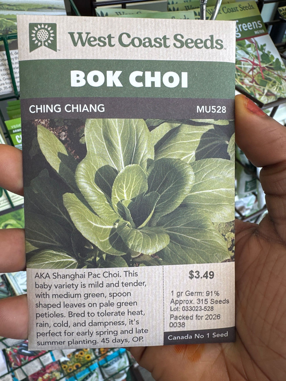 Thumbnail: BOK CHOI-Ching Chang