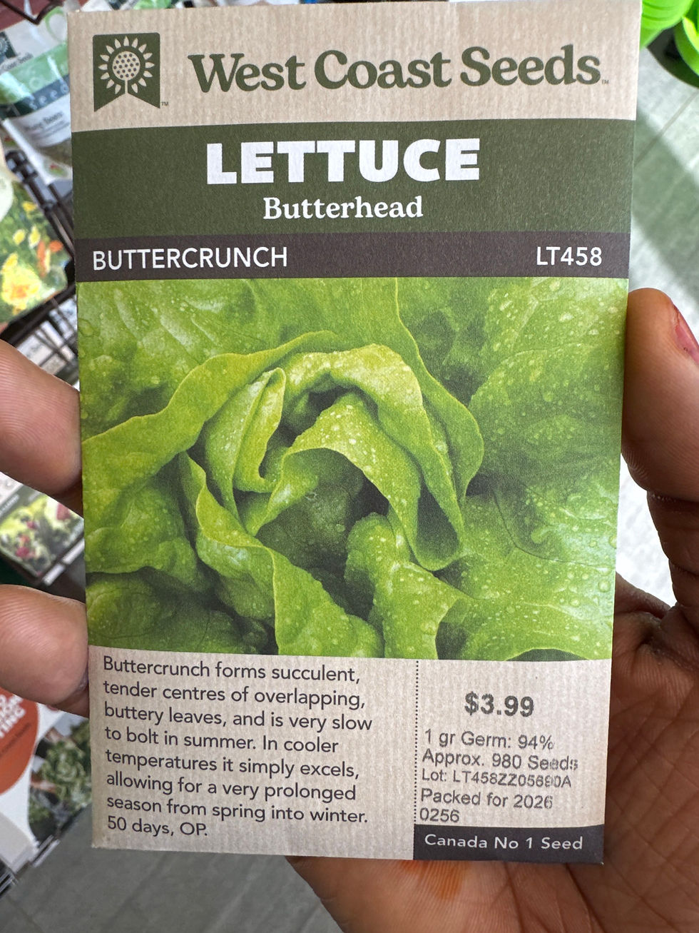 Thumbnail: LETTUCE Butterhead- ButterCrunch