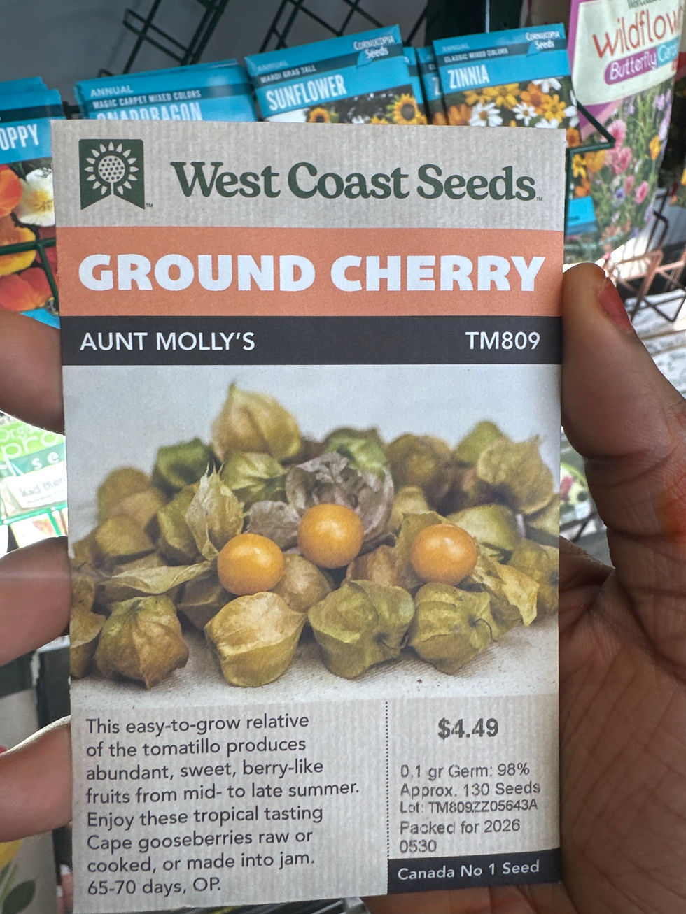 Thumbnail: GROUND CHERRY-Aunt Molly’s