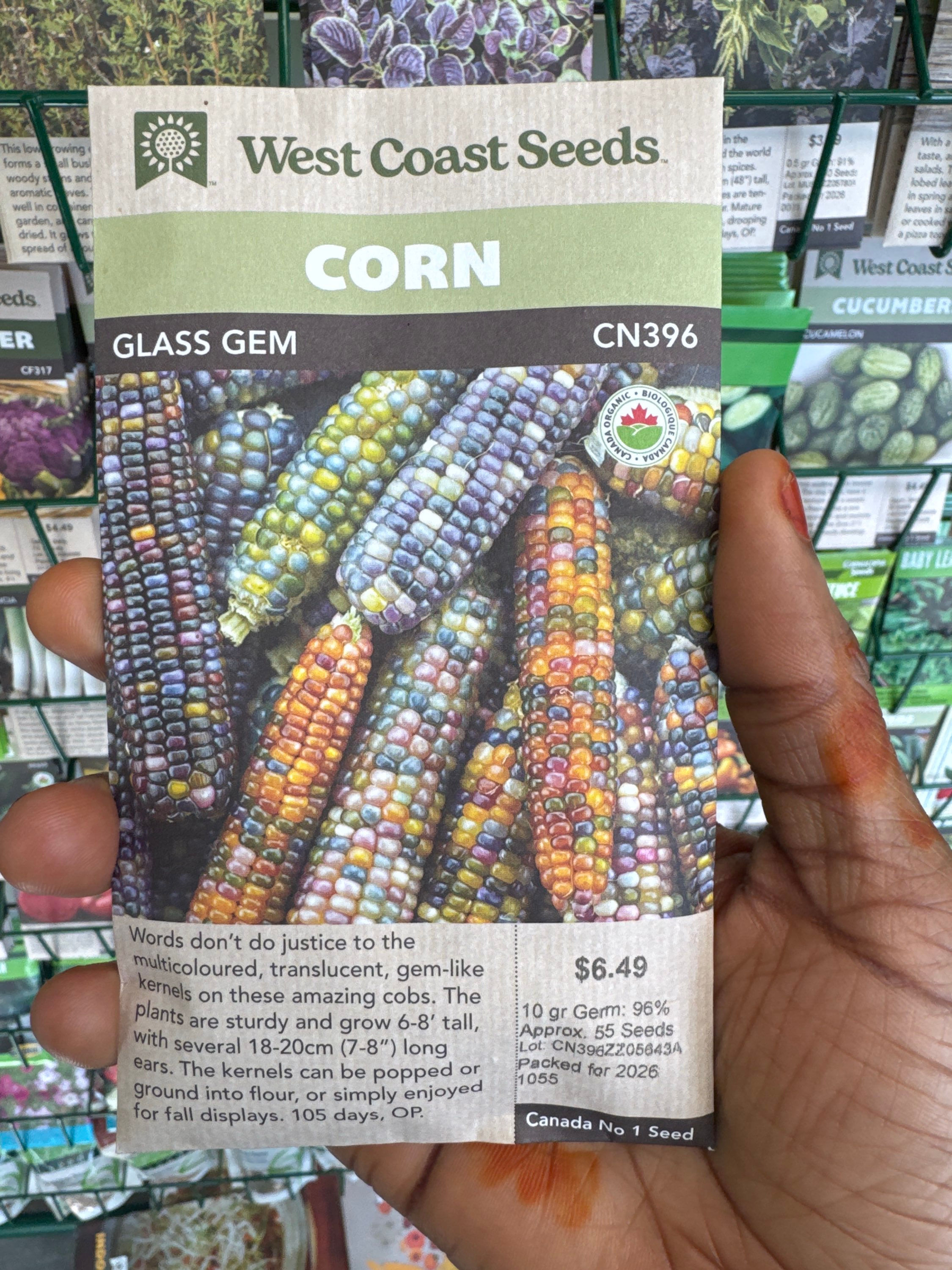 CORN- Glass Gem