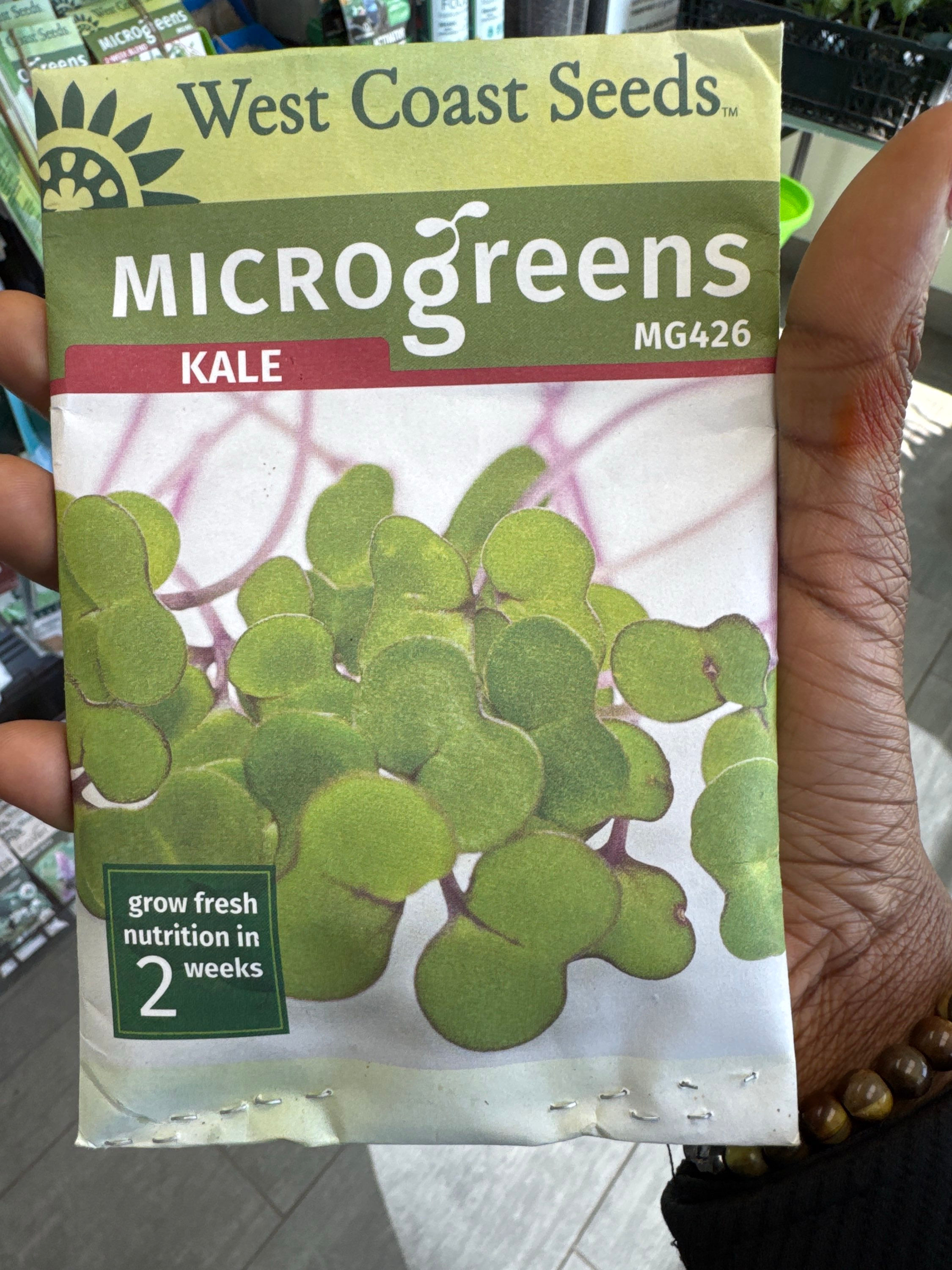 MICROGREENS-Kale