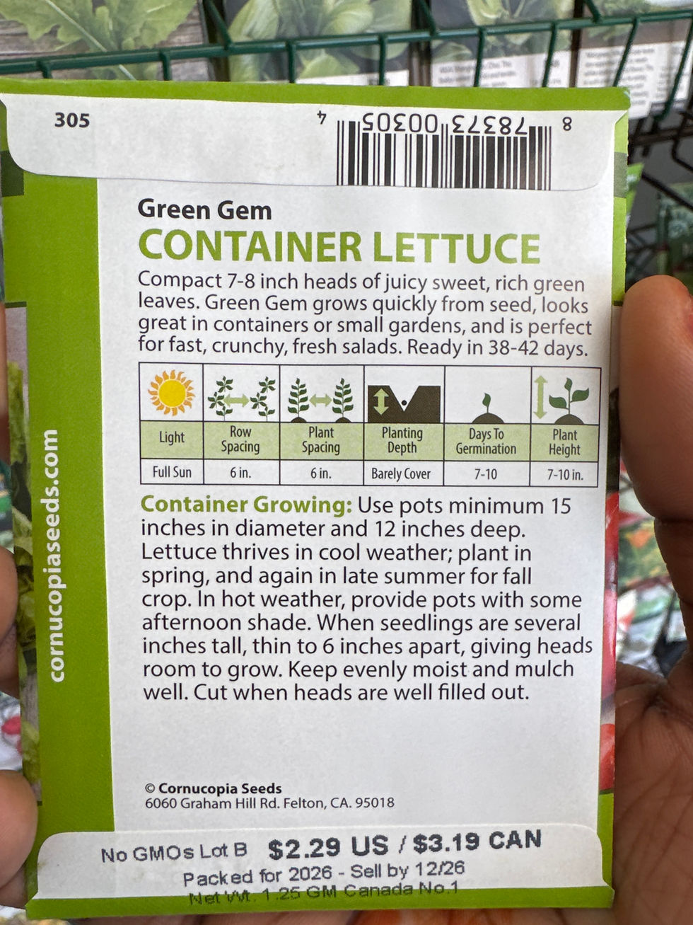 Thumbnail: CONTAINER LETTUCE- Green Gem