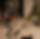 ChatGPT Image Jun 30, 2026, 02_15_17 PM.png