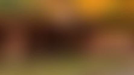 Goetsch-Winckler (1939) House by Frank Lloyd Wright