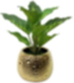 Artificial Greenery & Flower Pot