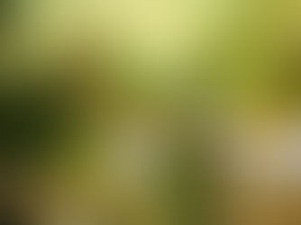 A polêmica dos sinalizadores em shows de rock e metal: um toque de emoção ou um risco desnecessário?