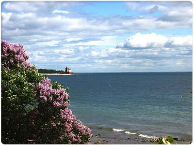 Harbor View