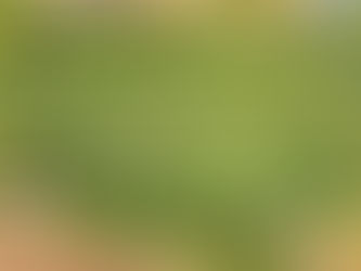 Scenic overhead photo of Brookdale Farms’ 17-acre corn maze surrounded by fall colors