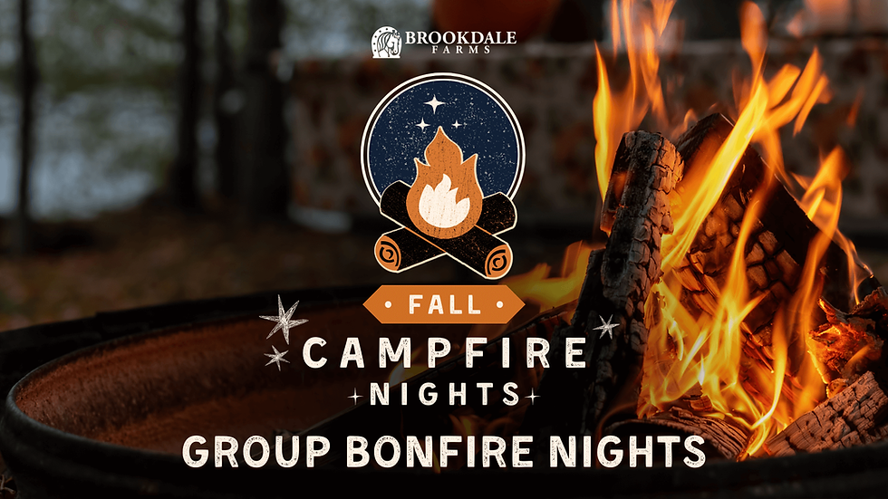 Fall Campfire Nights - Group Bonfire Nights | 2025