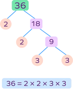 factor-tree-of-36.webp