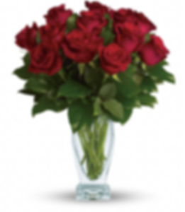 Rose Classique