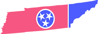 Tennessee state logo with flag colors – court-approved anger management, substance abuse assessments, license evaluations