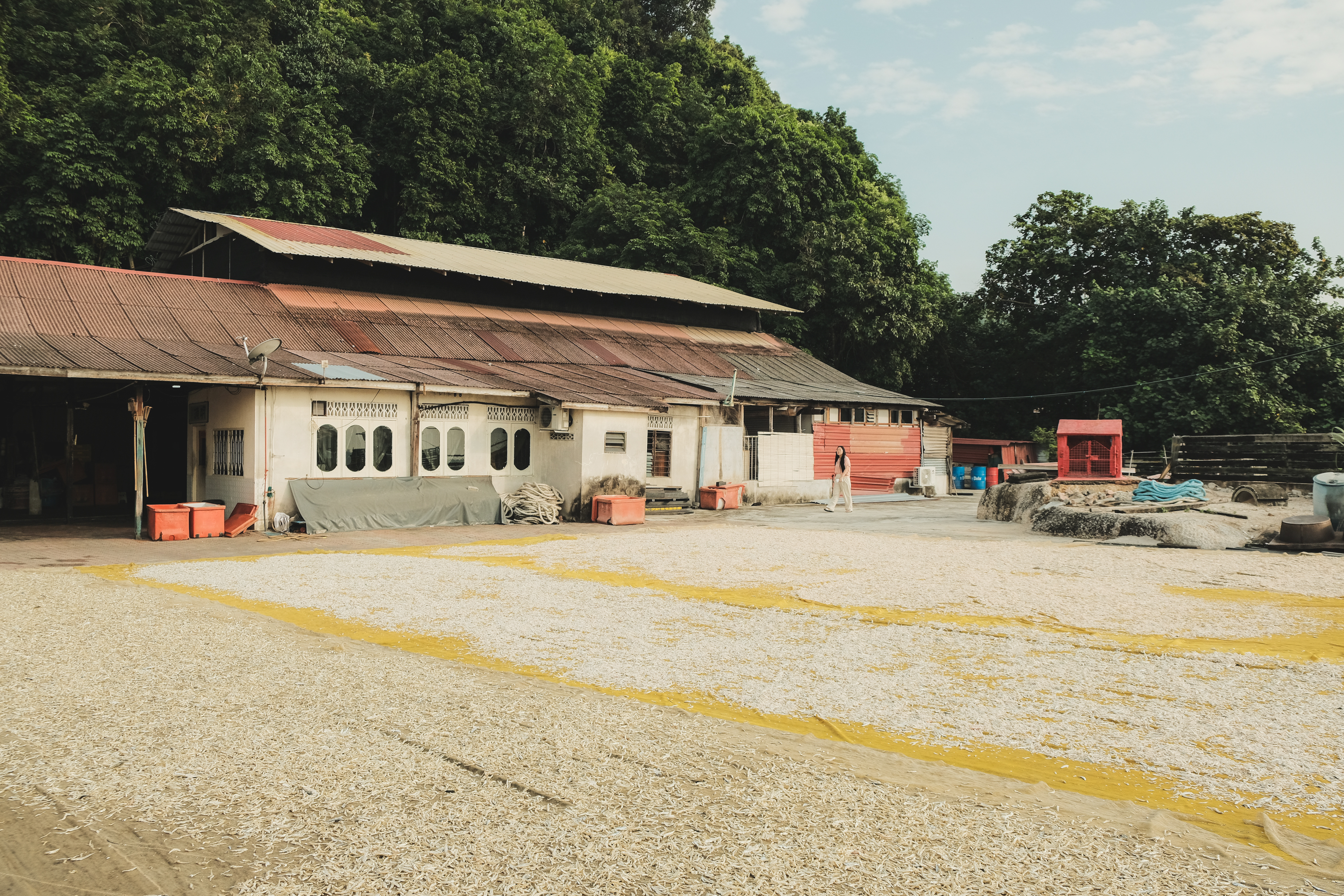 Copy of DSCF5646 (2).jpg