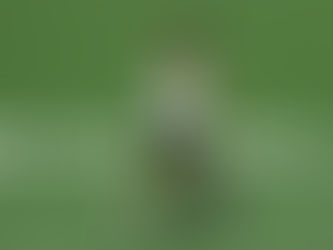 World rankings in tennis: Despite an abbreviated schedule, Roger Federer rules the roost