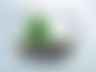 Small business bosses use home equity as 'piggy banks' to keep doors open