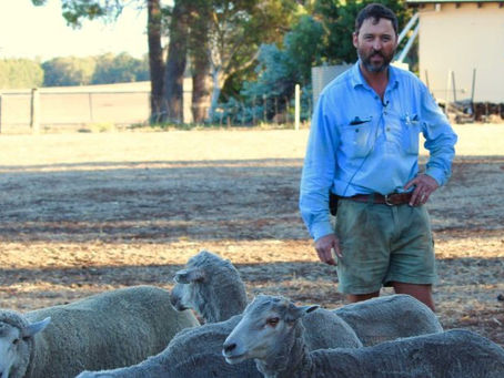 South African expats in WA cautiously welcome farmer visa plans