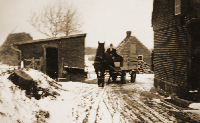 Pferdegespann am Fjord Cottage