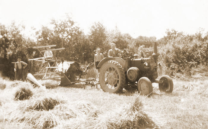 Heuernte im Fjord Cottage mit dem Hanomag