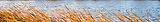 Untitled design (11)_edited.jpg