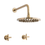 Thumbnail: B SERIES - Brushed Gold Shower & Dual Modern Handles