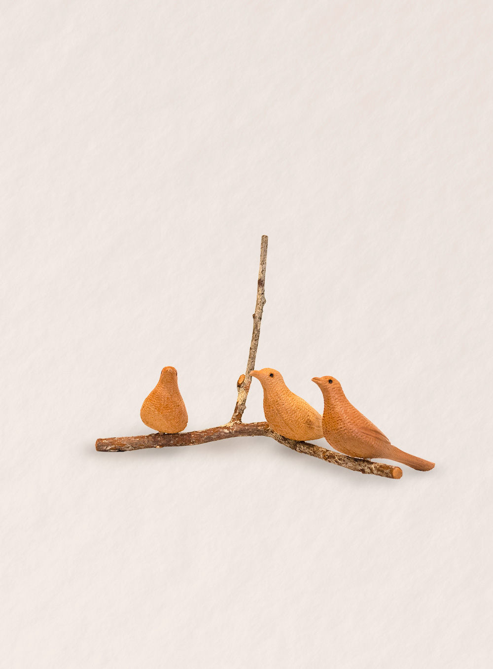 3 Passarinhos  - Fabiana Gracioli (BA)