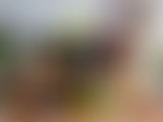 Você sabe as diferenças entre óleo vegetal e óleo essencial?