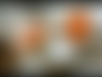 Nejlepší odrůdy fíkovníků do vlhkého podnebí