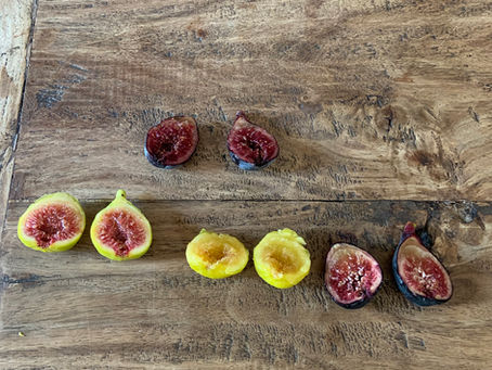 Kdy bude prodej řízků fíkovníků?